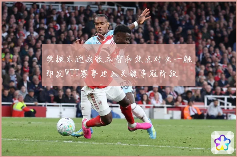 樊振东迎战张本智和焦点对决一触即发WTT赛事进入关键争冠阶段